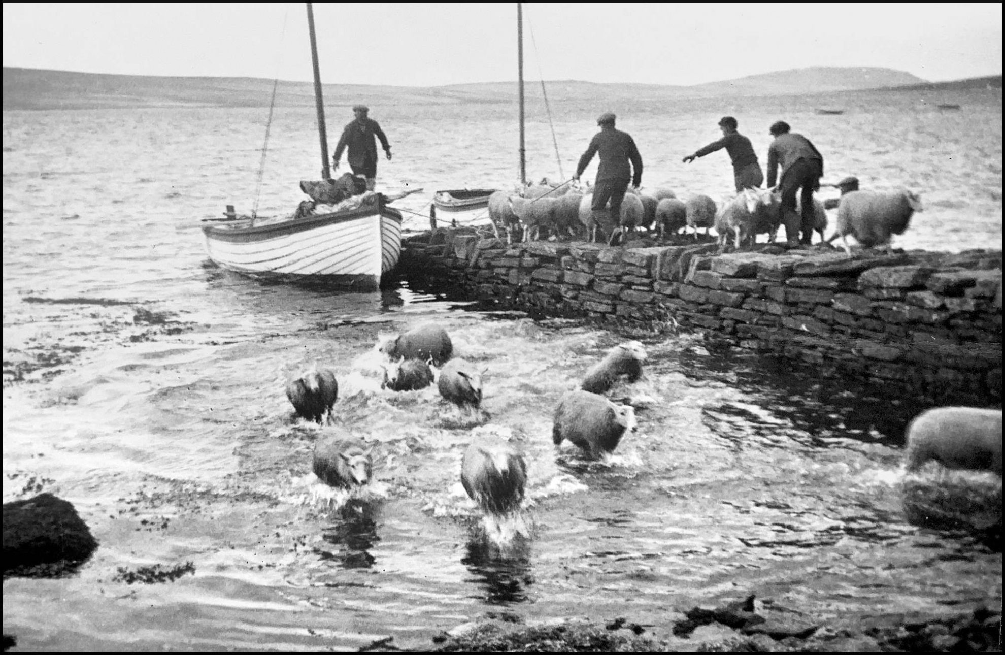 The Johnstons of Trumland Farm - Rousay Remembered